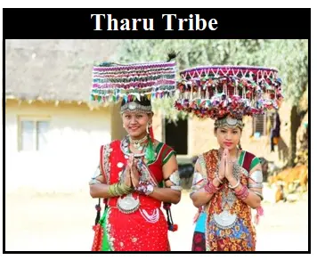Tharu Tribes of Uttarakhand